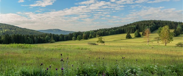 Šumava láká na krásnou přírodu i působivé vyhlídky - Česká republika Šumava - krajina