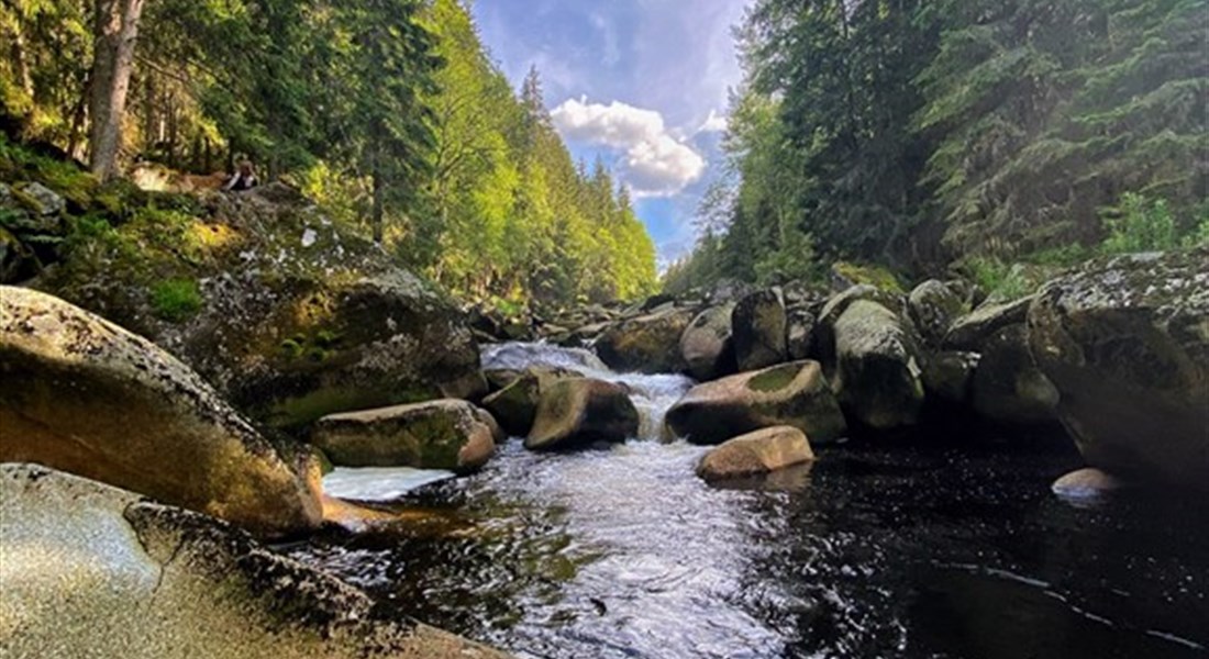 Šumava - Česká republika Šumava - řeka Vydra