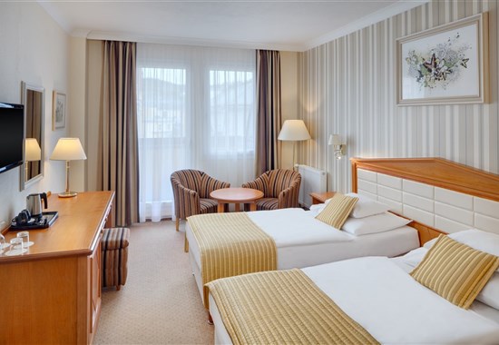 Mariánské Lázně - hotel BUTTERFLY - 