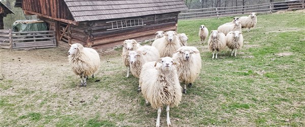 Výlety na Velikonoce – za tradicemi i krásnou přírodou Česka, Slovenska a Maďarska