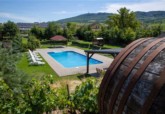 Horní Věstonice - Amenity penzion - 