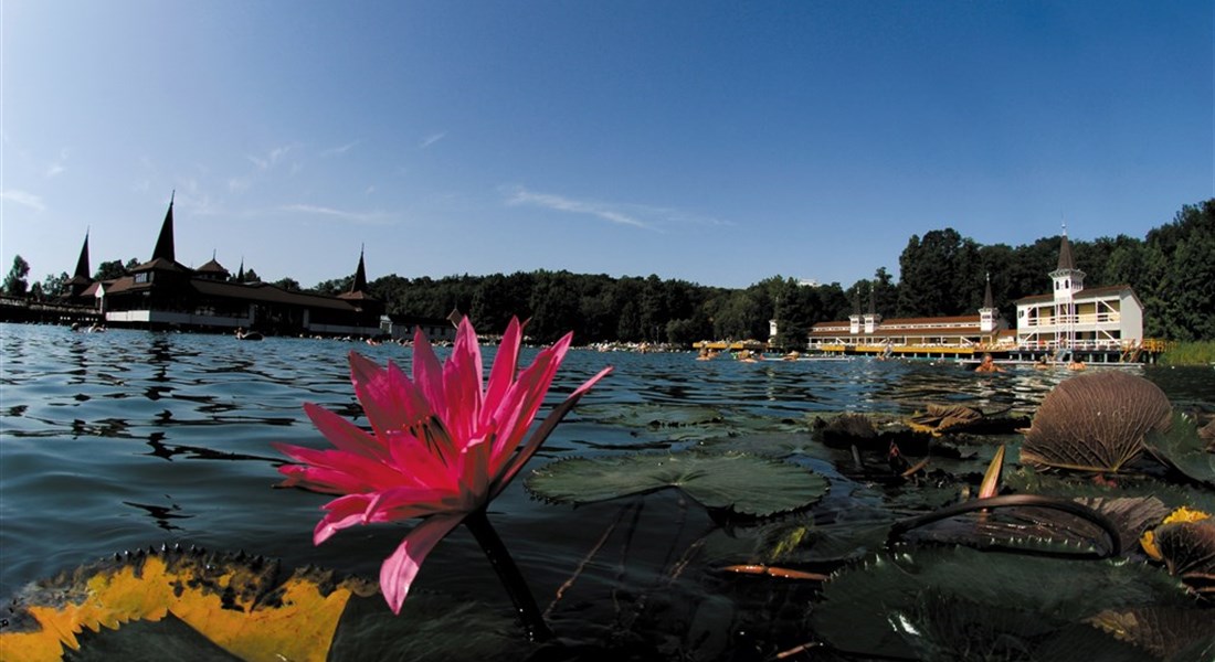 Hévíz - Maďarsko Hévíz pohled na lázeňské jezero