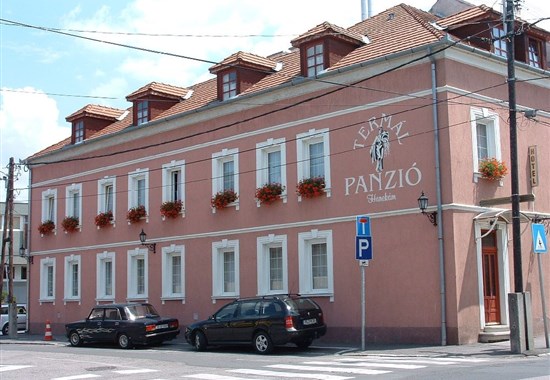 Penzion TERMÁL Hanekám - Győr