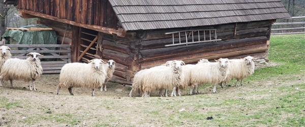 Výlety za velikonočními tradicemi v Česku