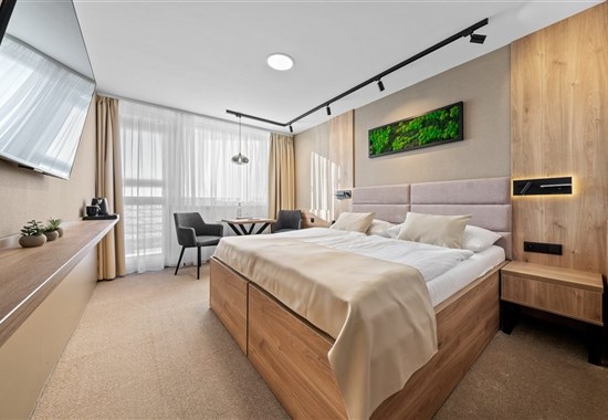 Luhačovice - Hotel a chaty VEGA - 