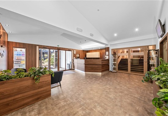 Luhačovice - Hotel a chaty VEGA - 