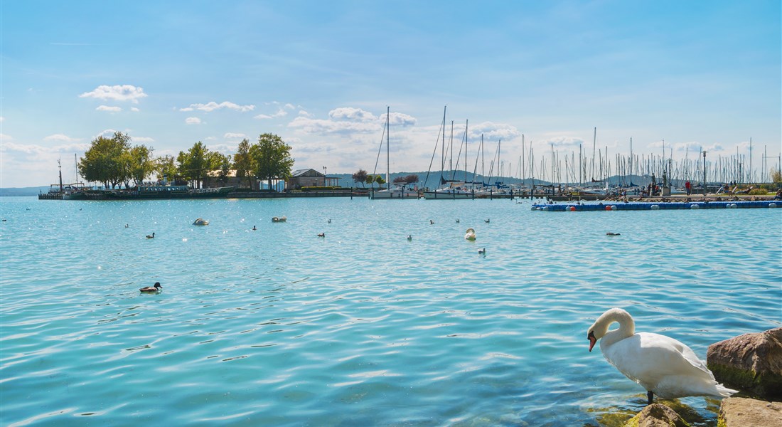 Balaton - Maďarsko Balaton - přístav