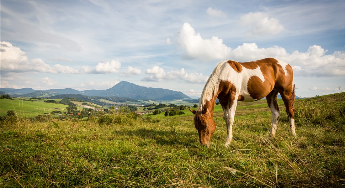 Orava - Slovenská republika Orava - louka