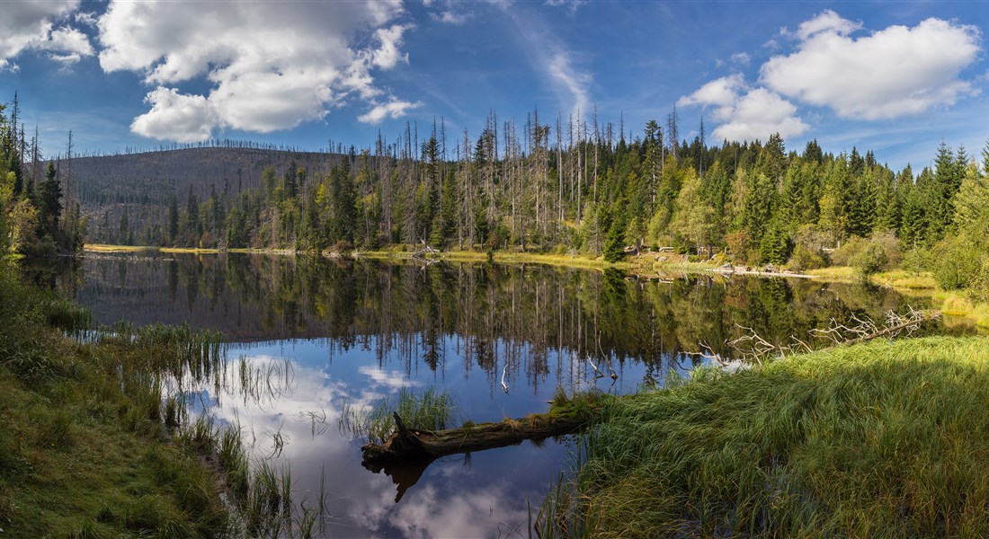 Šumava - Česká republika Šumava - jezero Laka