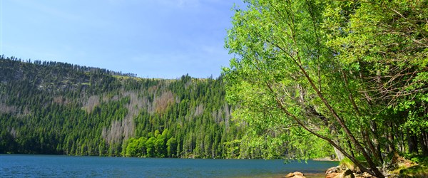 Česká republika Šumava - Černé jezero