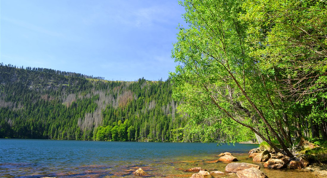 Šumava - Česká republika Šumava - Černé jezero