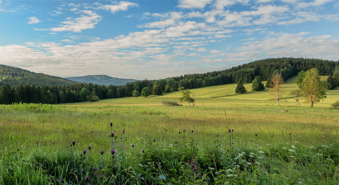 Šumava - Česká republika Šumava - krajina