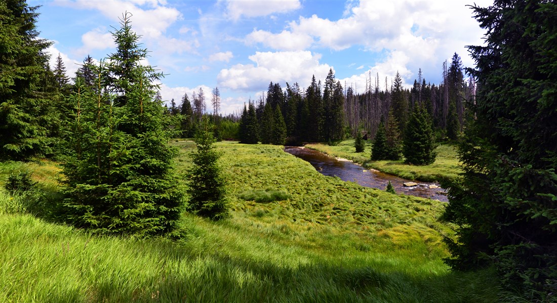 Šumava - Česká republika Šumava - národní park