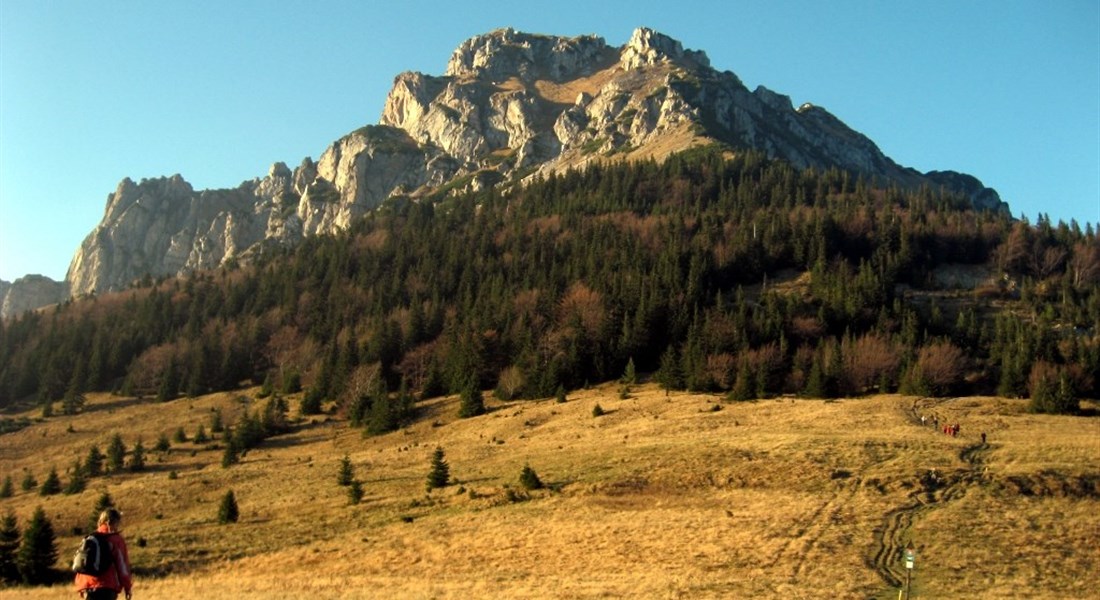 Malá Fatra - Rozsutec