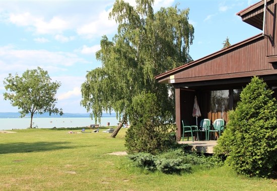 Balatonszemes - kemp VADVIRÁG - WILDFLOWER - Balaton
