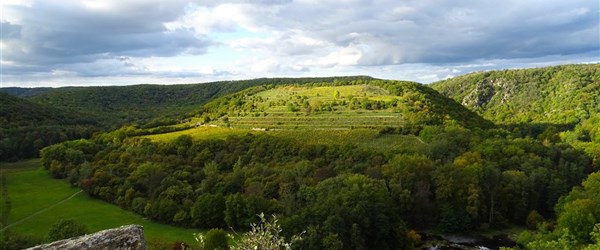 Jste ve stresu? Načerpejte energii v přírodě!